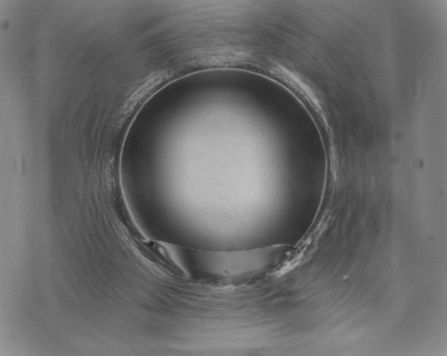 X0000071850105200607141800