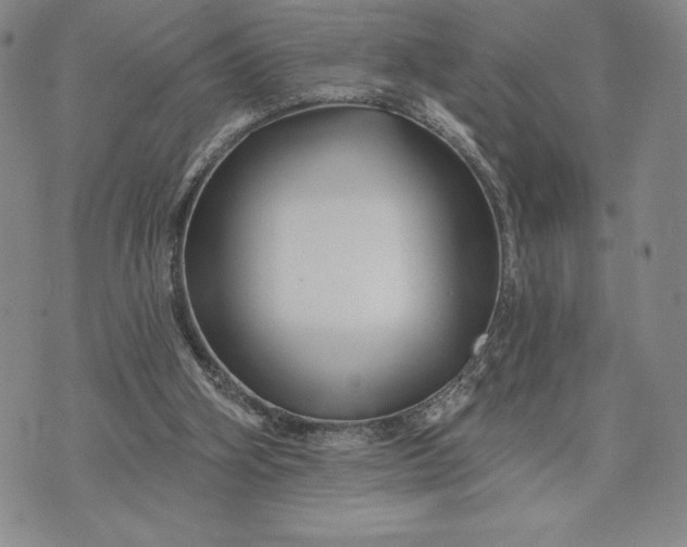 X0000071850106200607141800