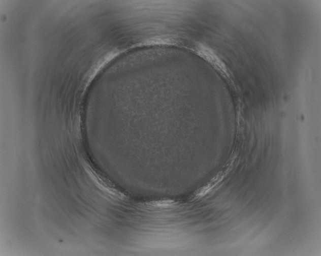 X0000071850108200607141800