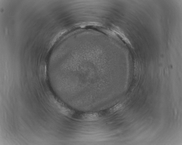 X0000071850110200607141800