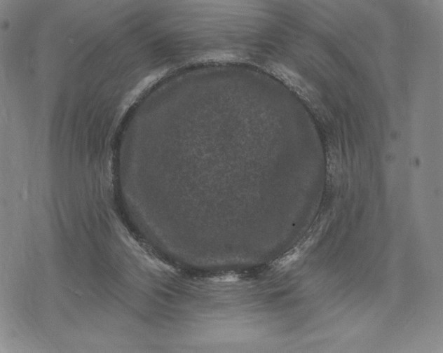 X0000071850112200607141800