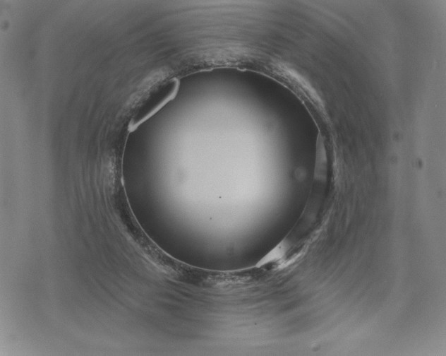 X0000071850113200607141800