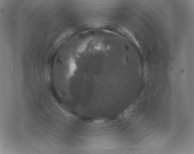 X0000071850114200607141800