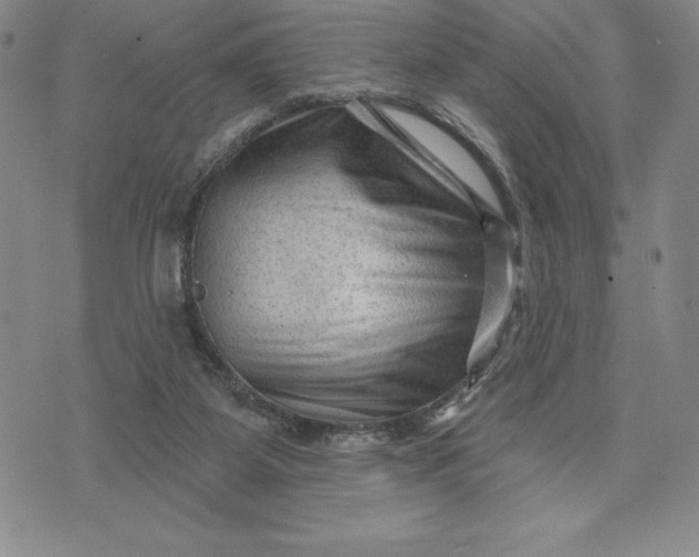 X0000071850115200607141800