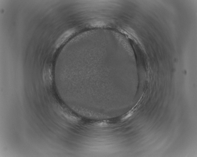 X0000071850116200607141800