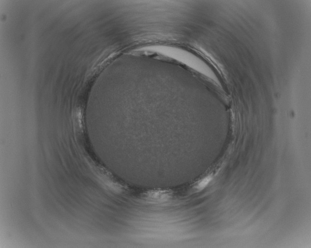 X0000071850117200607141800