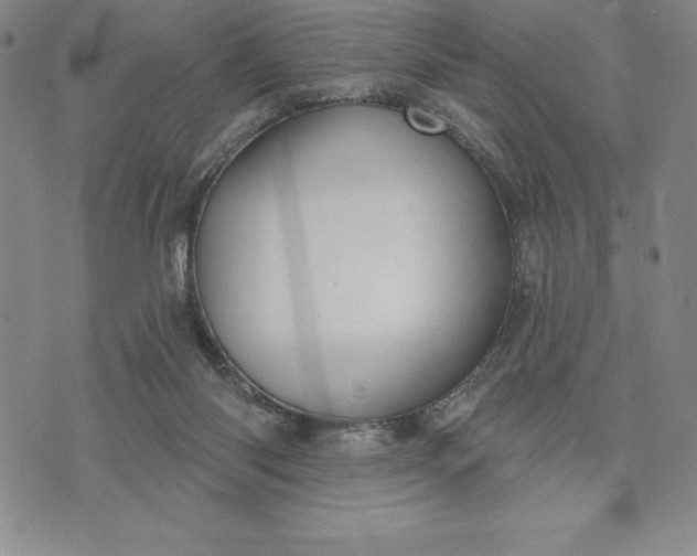 X0000071850118200607141800