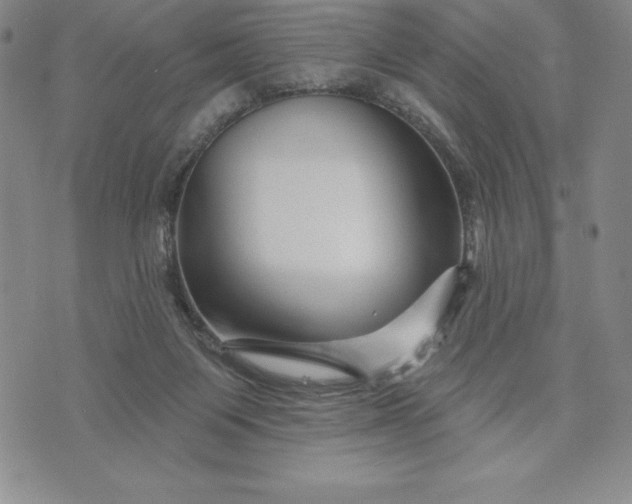 X0000071850119200607141800