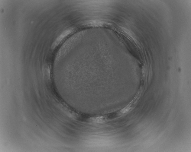 X0000071850120200607141800