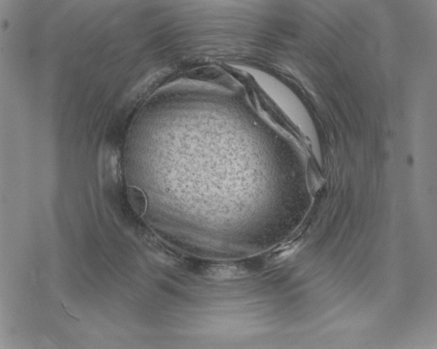 X0000071850123200607141800