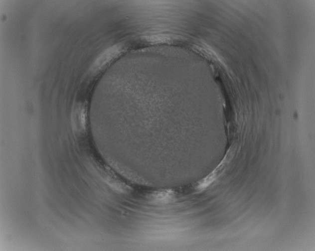 X0000071850124200607141800