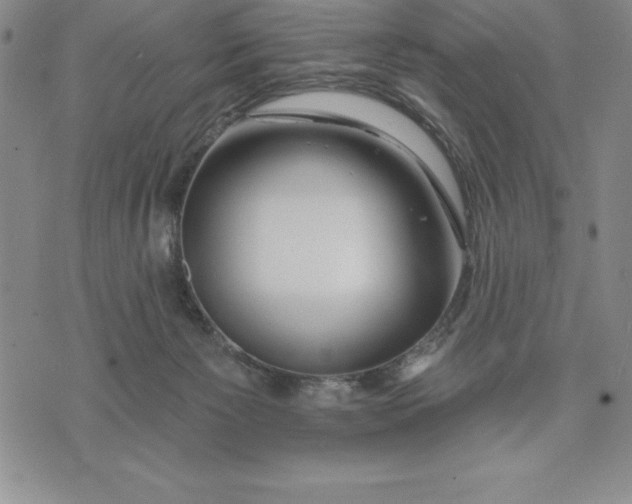 X0000071850125200607141800