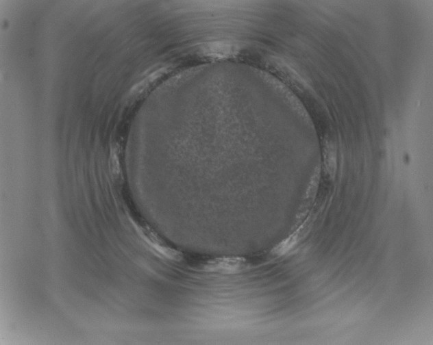 X0000071850128200607141800