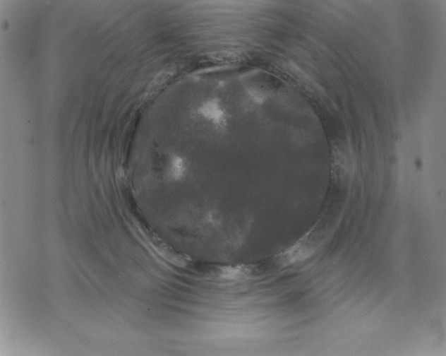 X0000071850130200607141759