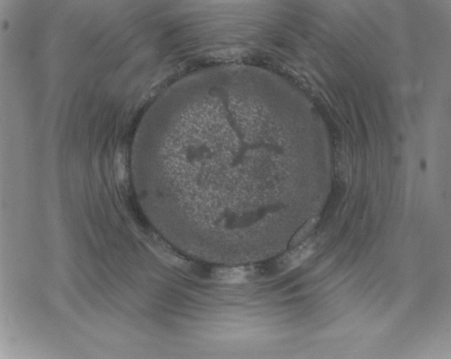 X0000071850131200607141759