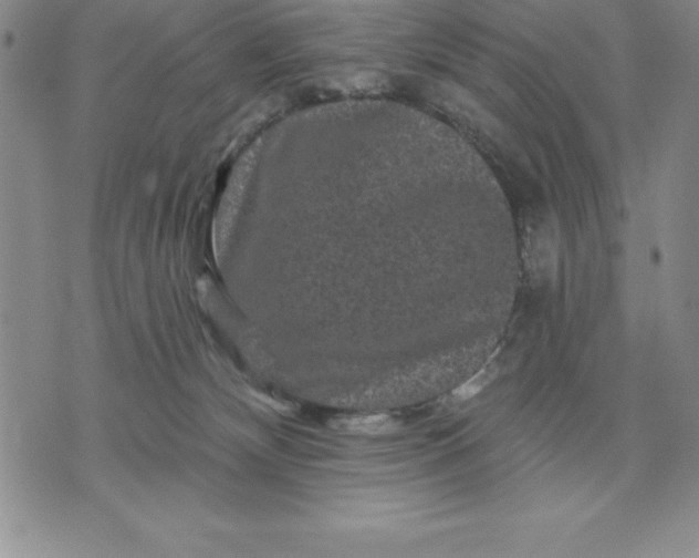 X0000071850132200607141759