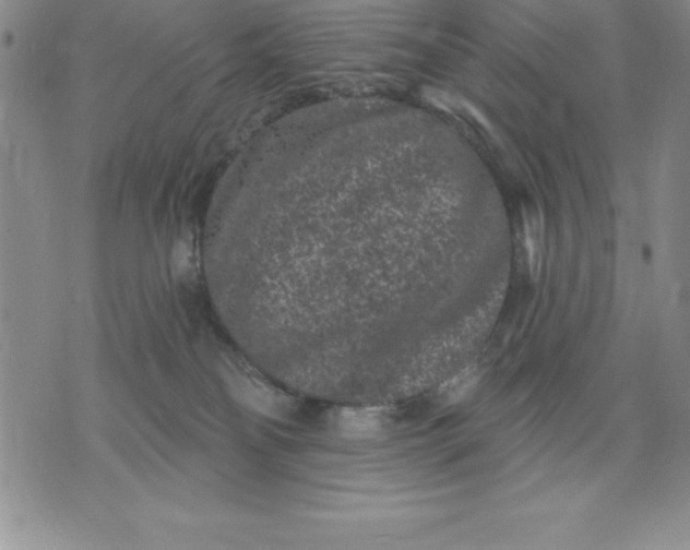 X0000071850134200607141759