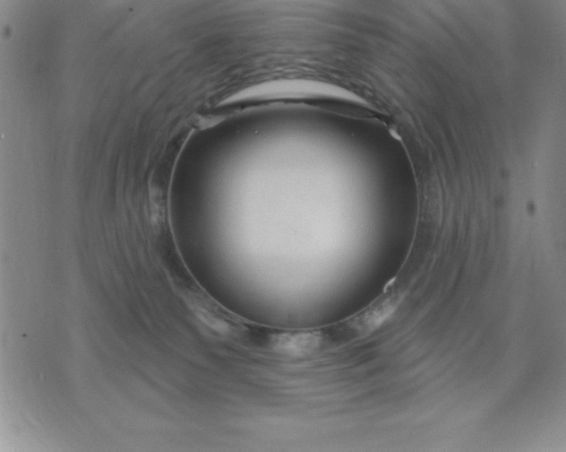 X0000071850135200607141759