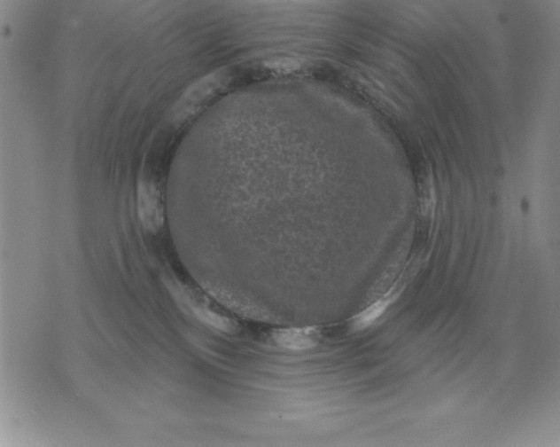 X0000071850136200607141759