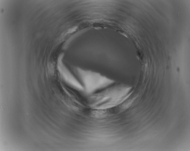 X0000071850139200607141759