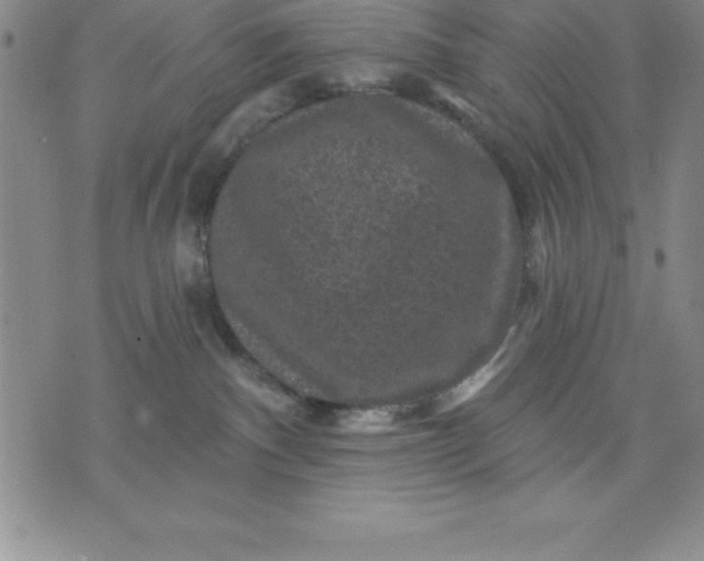 X0000071850140200607141759