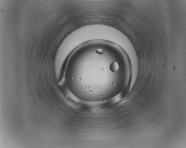 X0000071850141200607141759