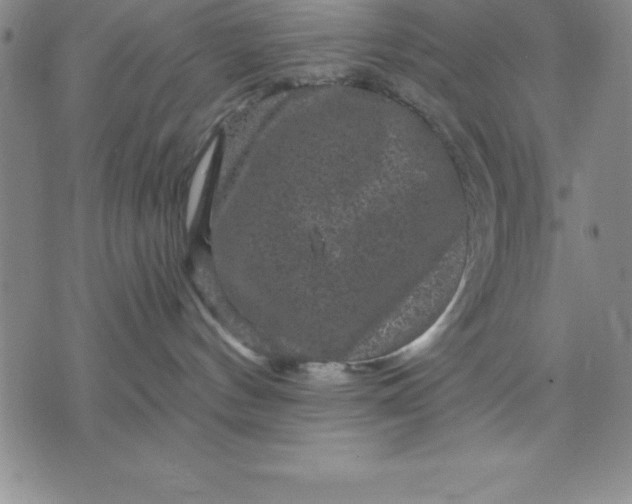 X0000071850144200607141759