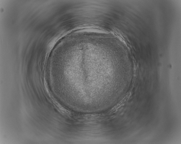 X0000071850145200607141758