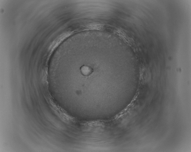 X0000071850146200607141758