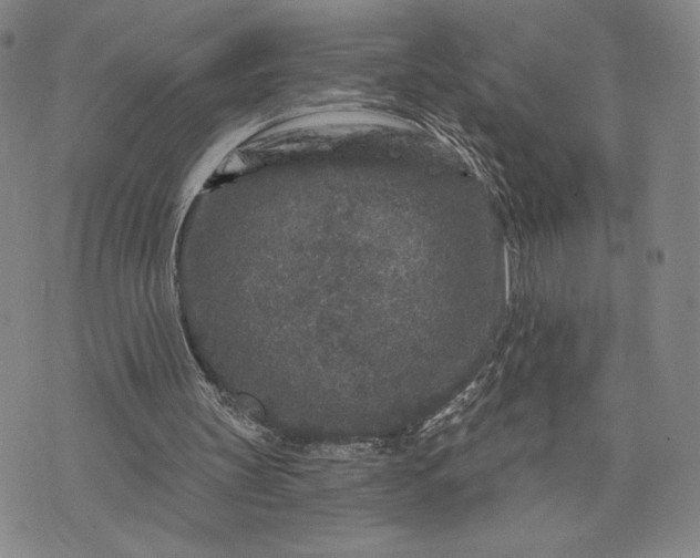 X0000071850147200607141759