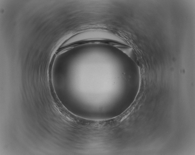 X0000071850148200607141759