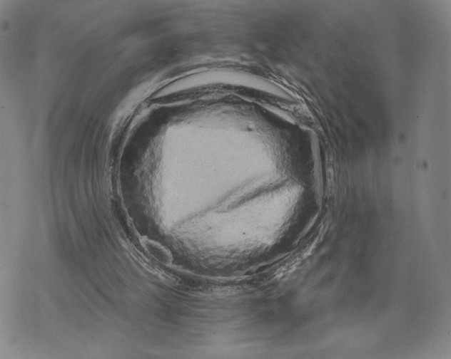 X0000071850149200607141759