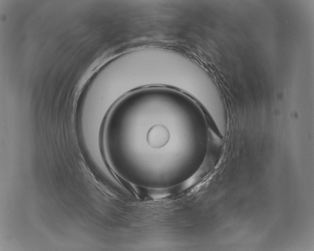 X0000071850150200607141759