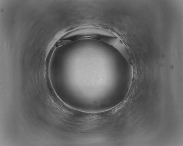 X0000071850152200607141759