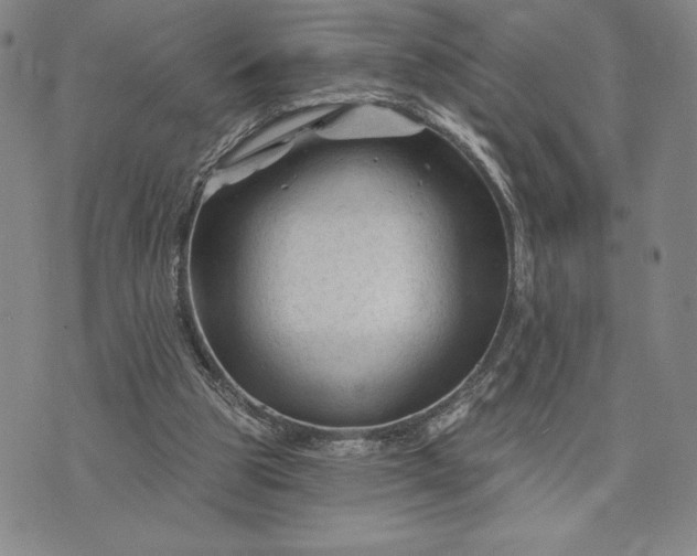 X0000071850153200607141759