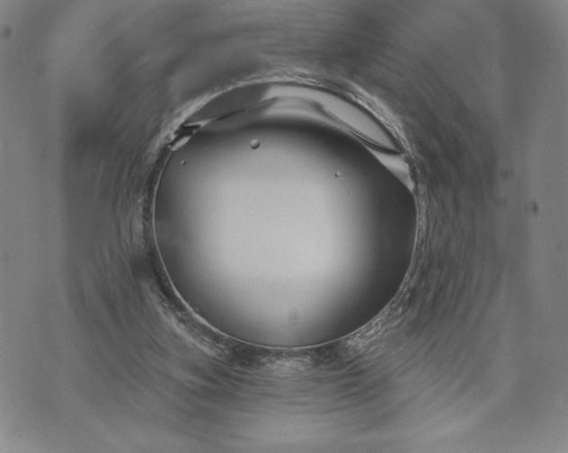 X0000071850155200607141759