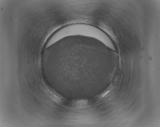 X0000071850156200607141759