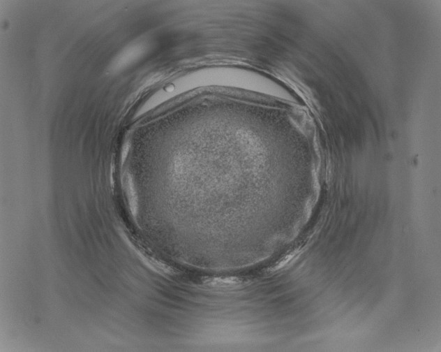 X0000071850157200607141759