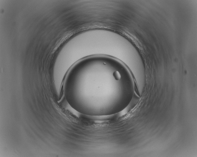 X0000071850158200607141759