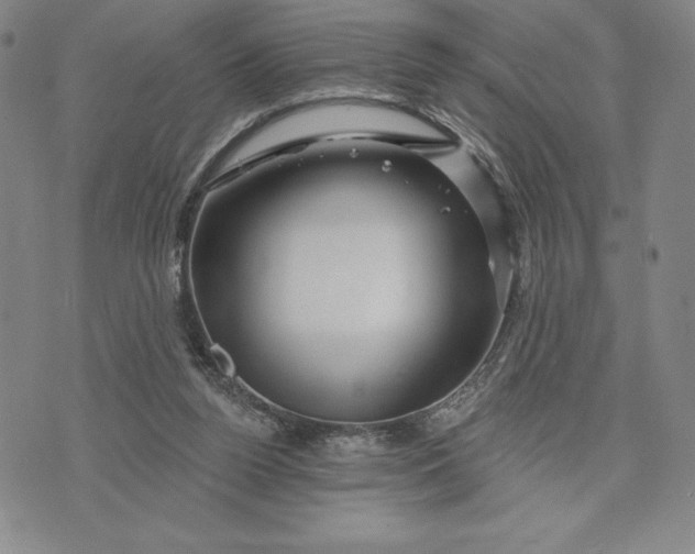 X0000071850160200607141759