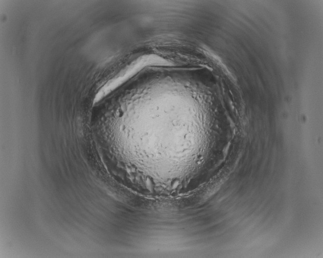 X0000071850161200607141759