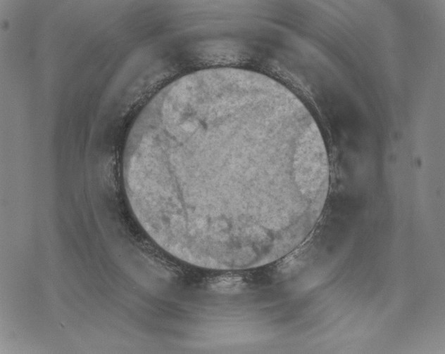 X0000071850162200607141759