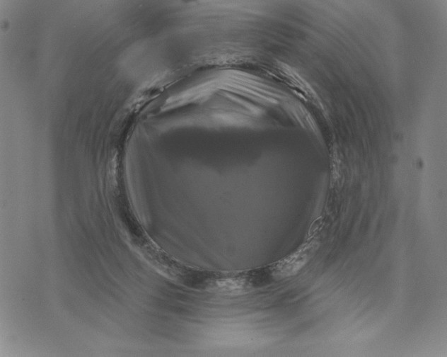 X0000071850163200607141759