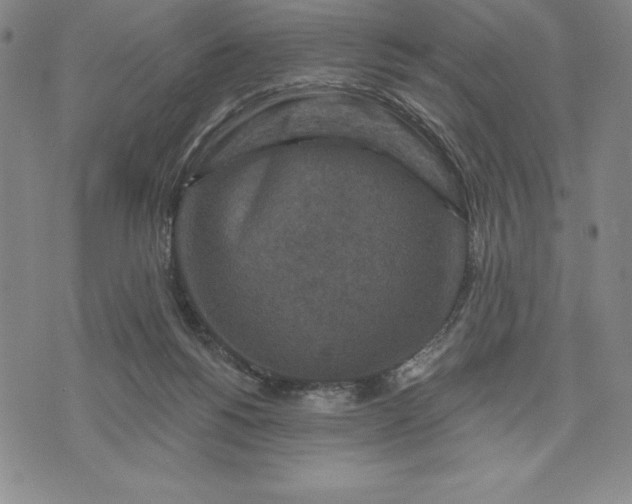 X0000071850168200607141759