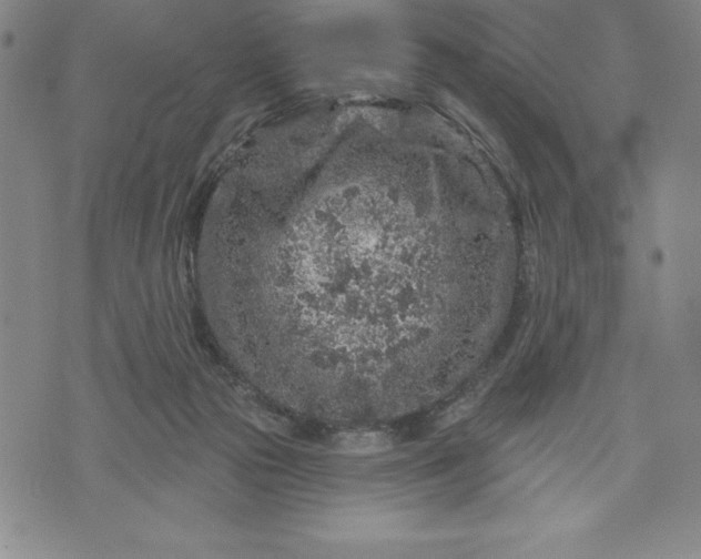 X0000071850169200607141759