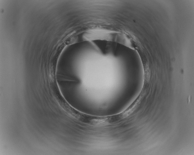 X0000071850170200607141759