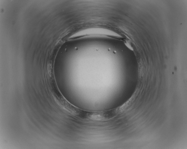 X0000071850171200607141759