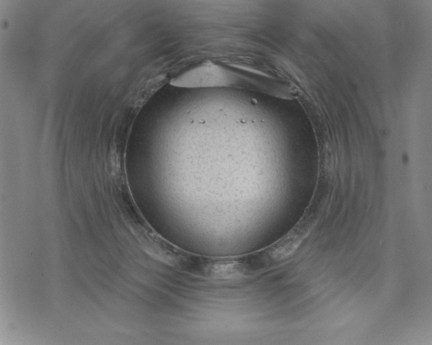 X0000071850173200607141759