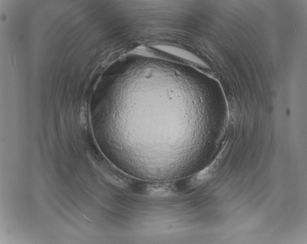 X0000071850175200607141759