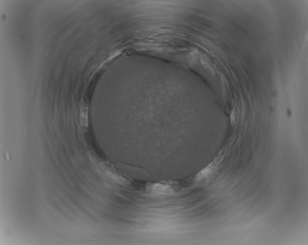 X0000071850180200607141759